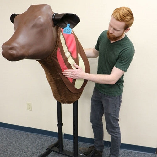 Bovine Injection Simulator