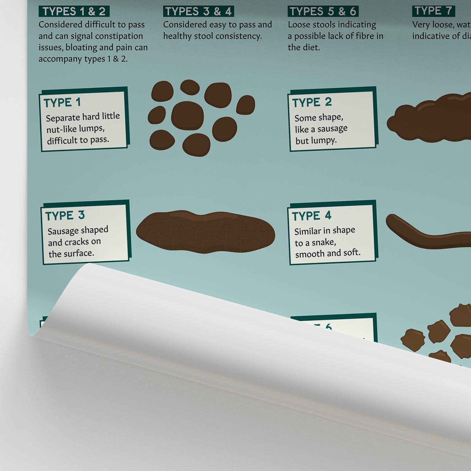 Bristol Stool Chart / Poster