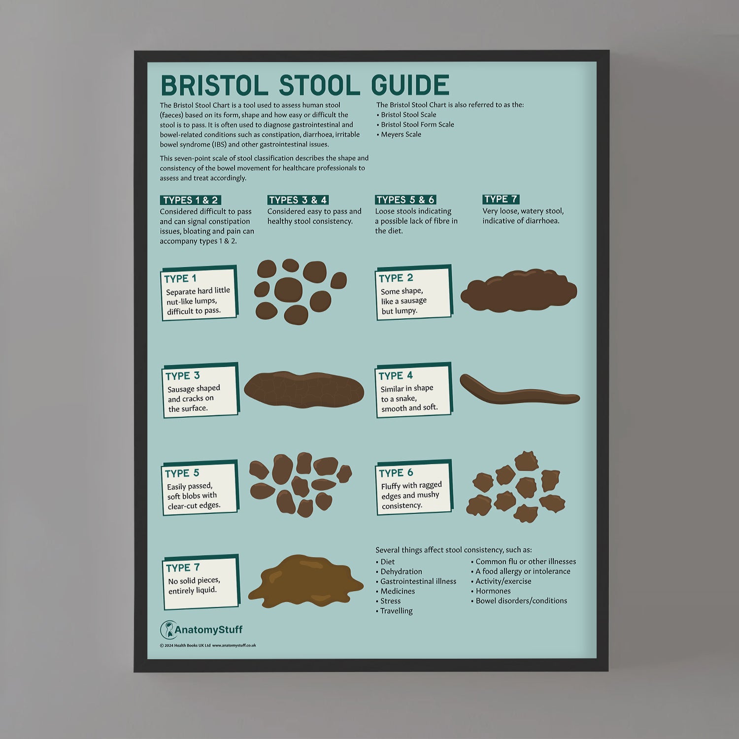 Bristol Stool Chart / Poster