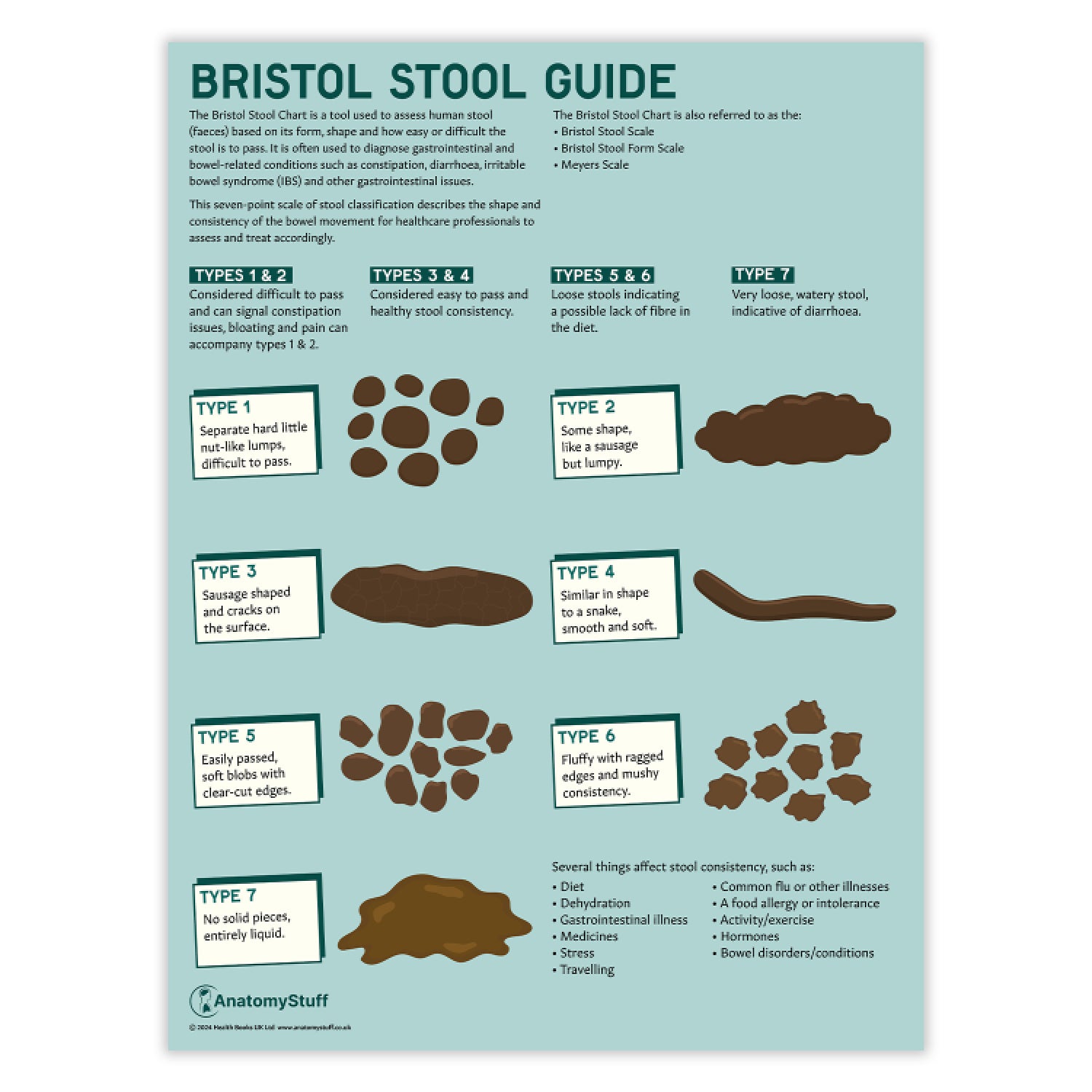 bristol-stool-chart-poster-of-bristol-stool-chart-antomystuff-anatomystuff for Bristol Stool Chart Free Printable Bristol Stool Chart | Poster Of Bristol Stool Chart | AntomyStuff – AnatomyStuff for Bristol Stool Chart Free Printable