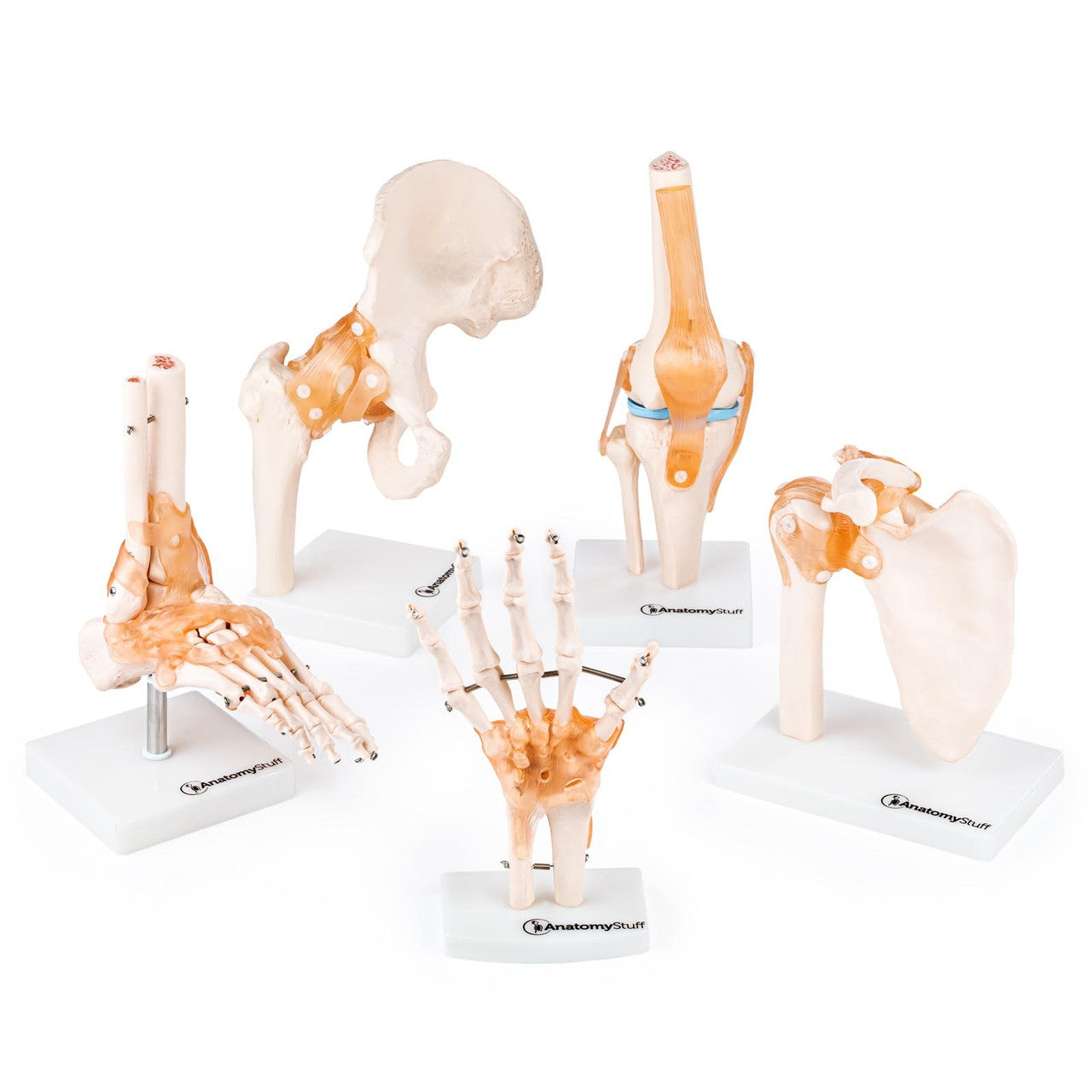 Budget Joint Model Set (5 part)