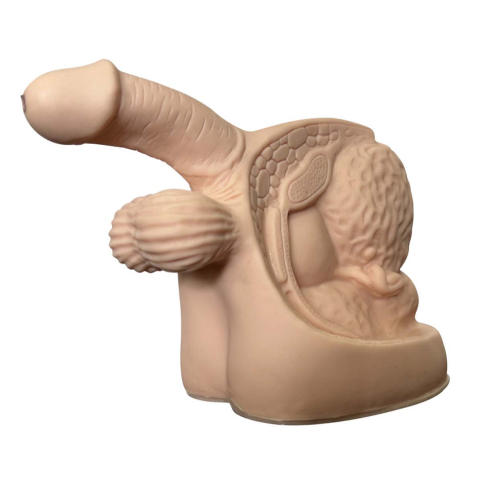 Budget Male Catheter Model