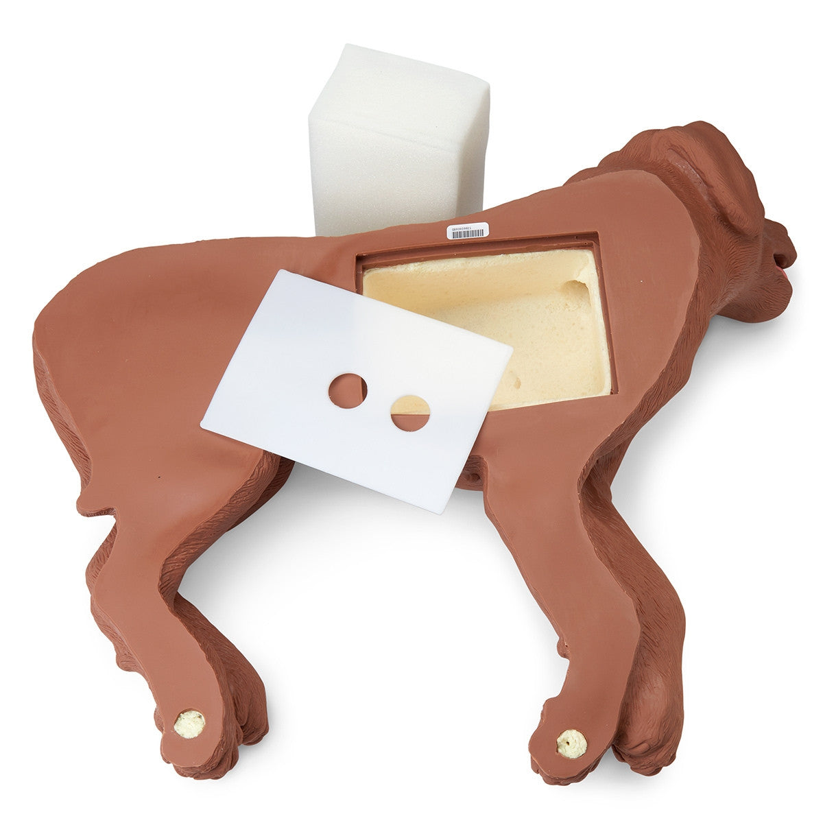 Canine CPR Manikin Casper