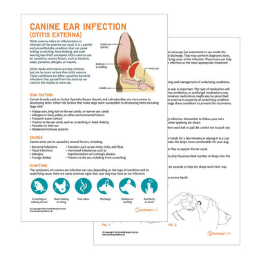 Pet Health & Animal Care Downloads