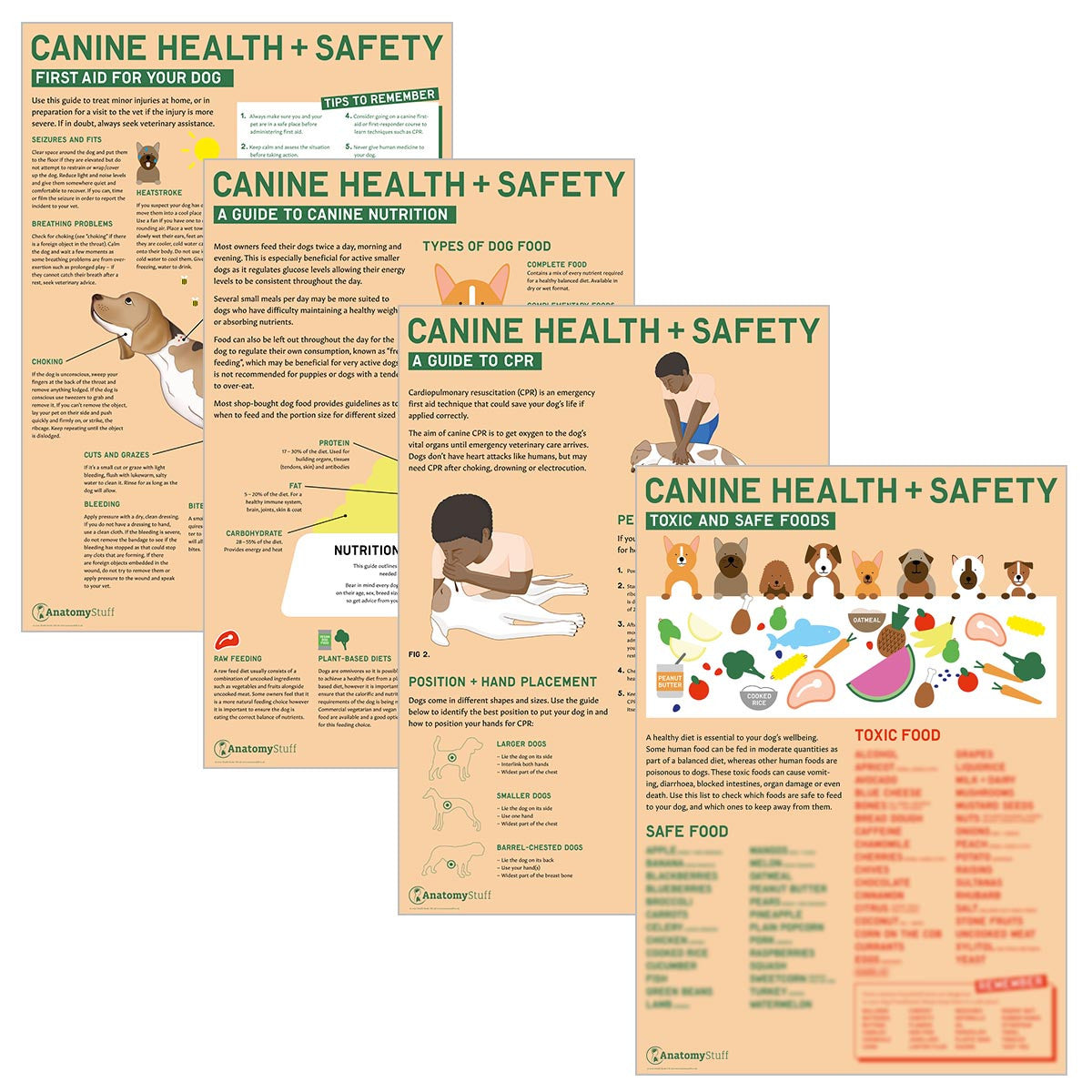 Canine Health & Safety 4 Poster Collection