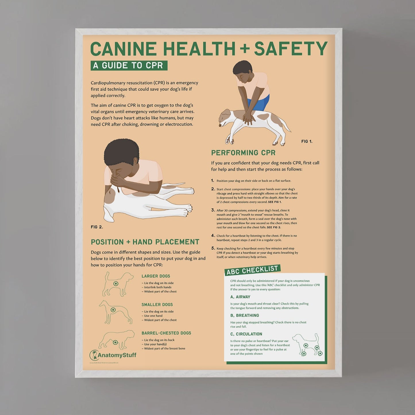 Canine Health & Safety: A Guide to CPR for Dogs Chart /  Poster - Part of Collection