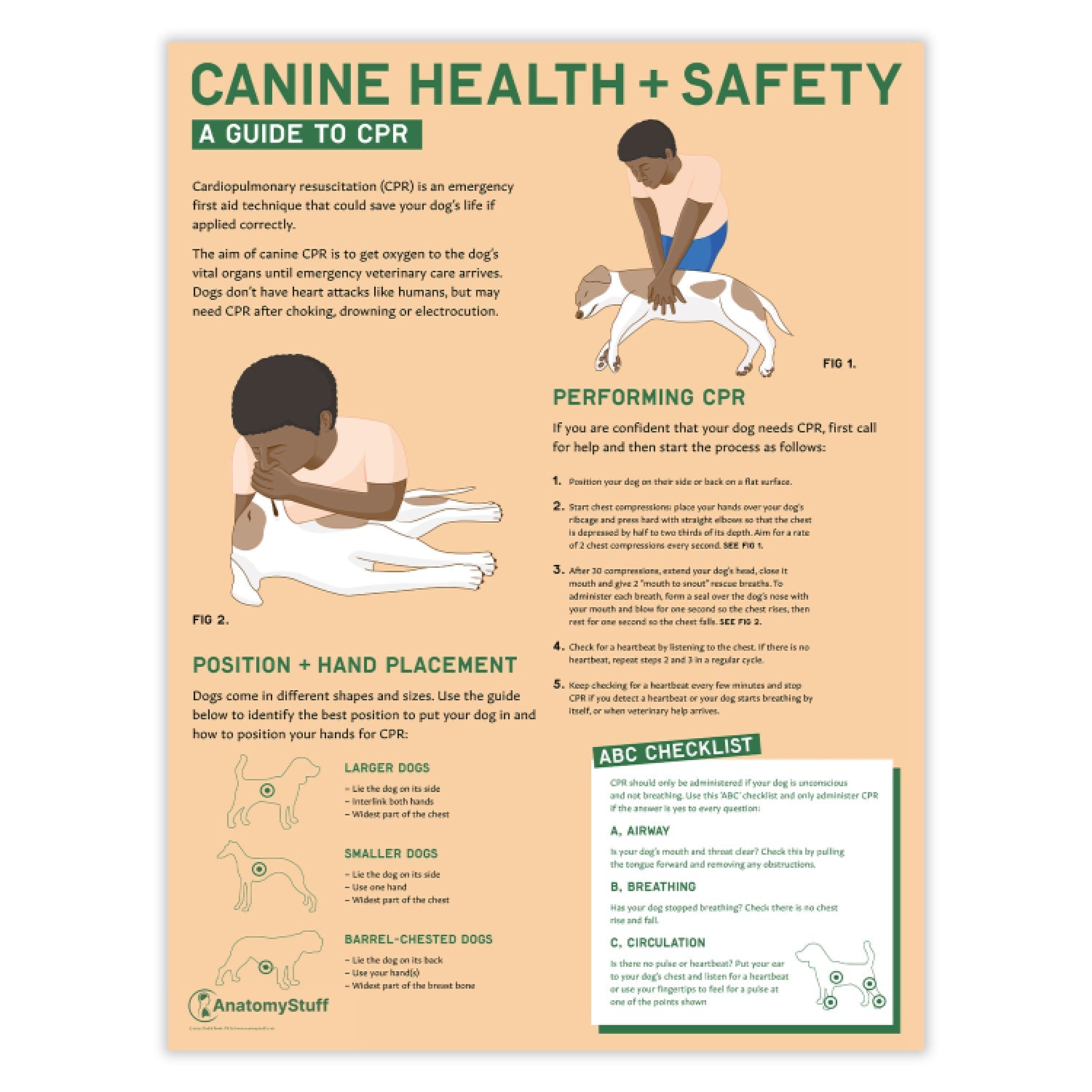 Canine Health & Safety: A Guide to CPR for Dogs Chart /  Poster - Part of Collection
