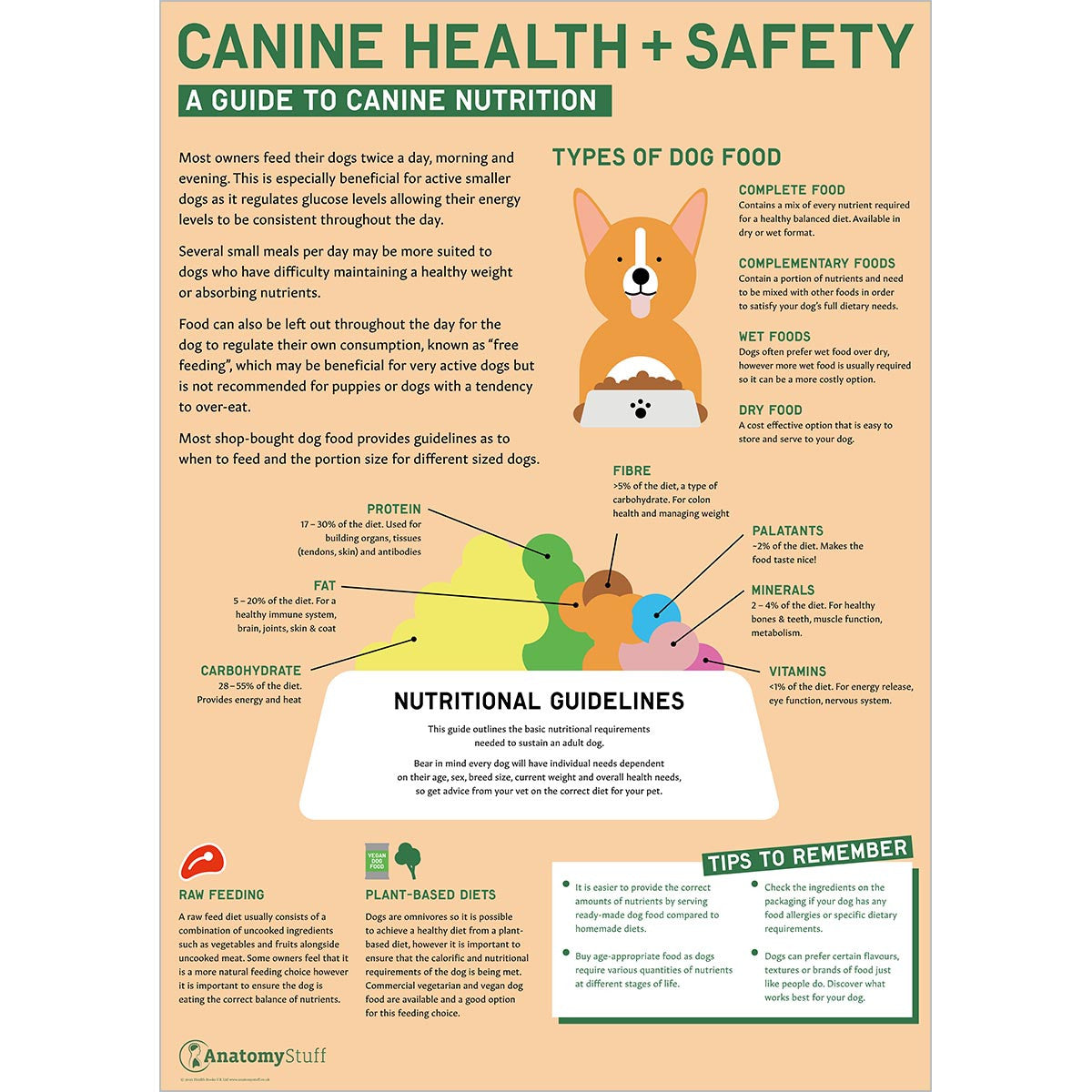 Canine Health & Safety 4 Poster Collection
