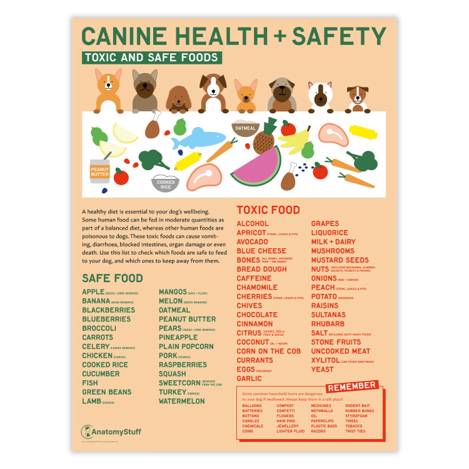 Canine Health & Safety: Toxic and Safe Foods Poster | CHSTSF | AnatomyStuff canine-health-safety-toxic-and-safe-foods-poster-chstsf-anatomystuff