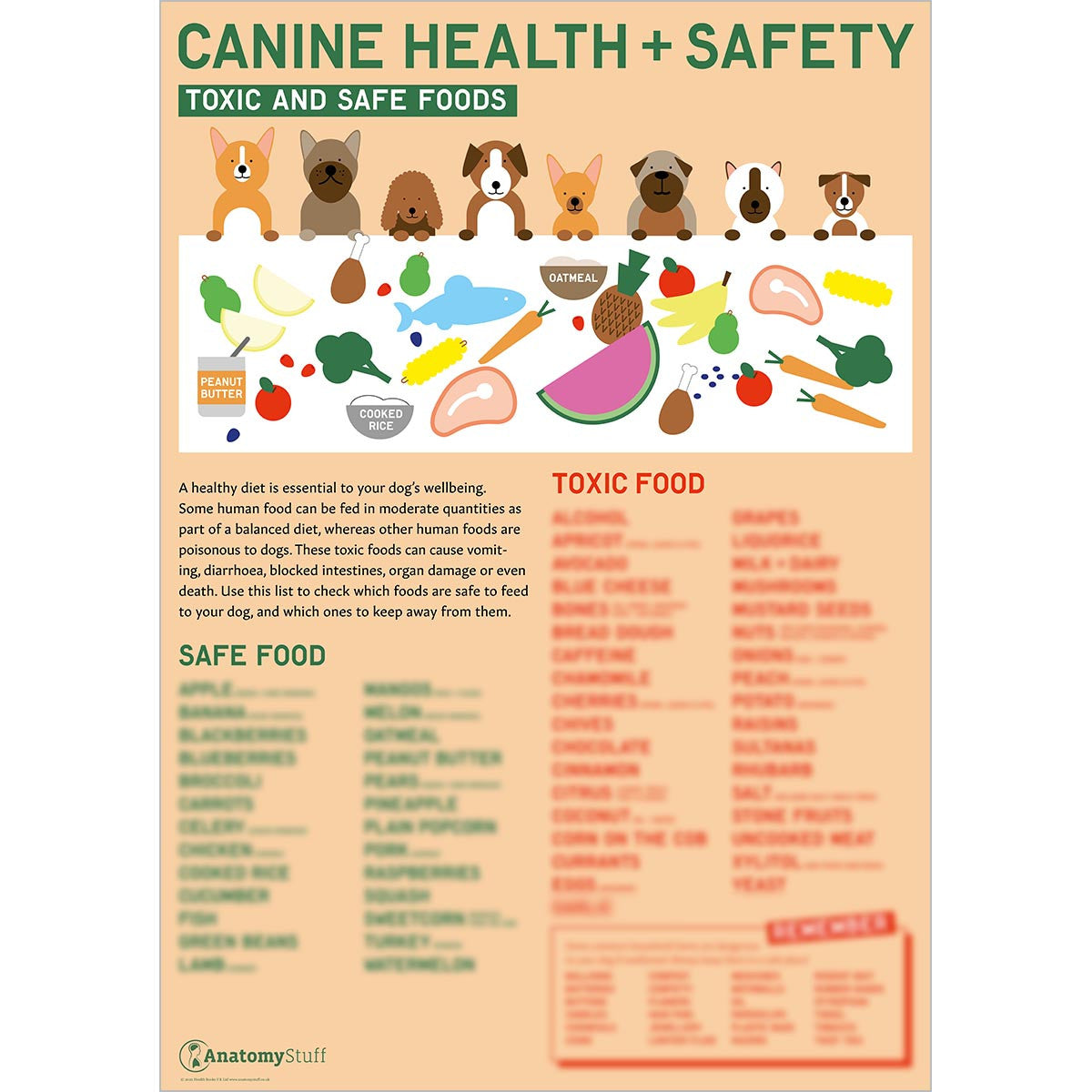 Canine Health & Safety 4 Poster Collection