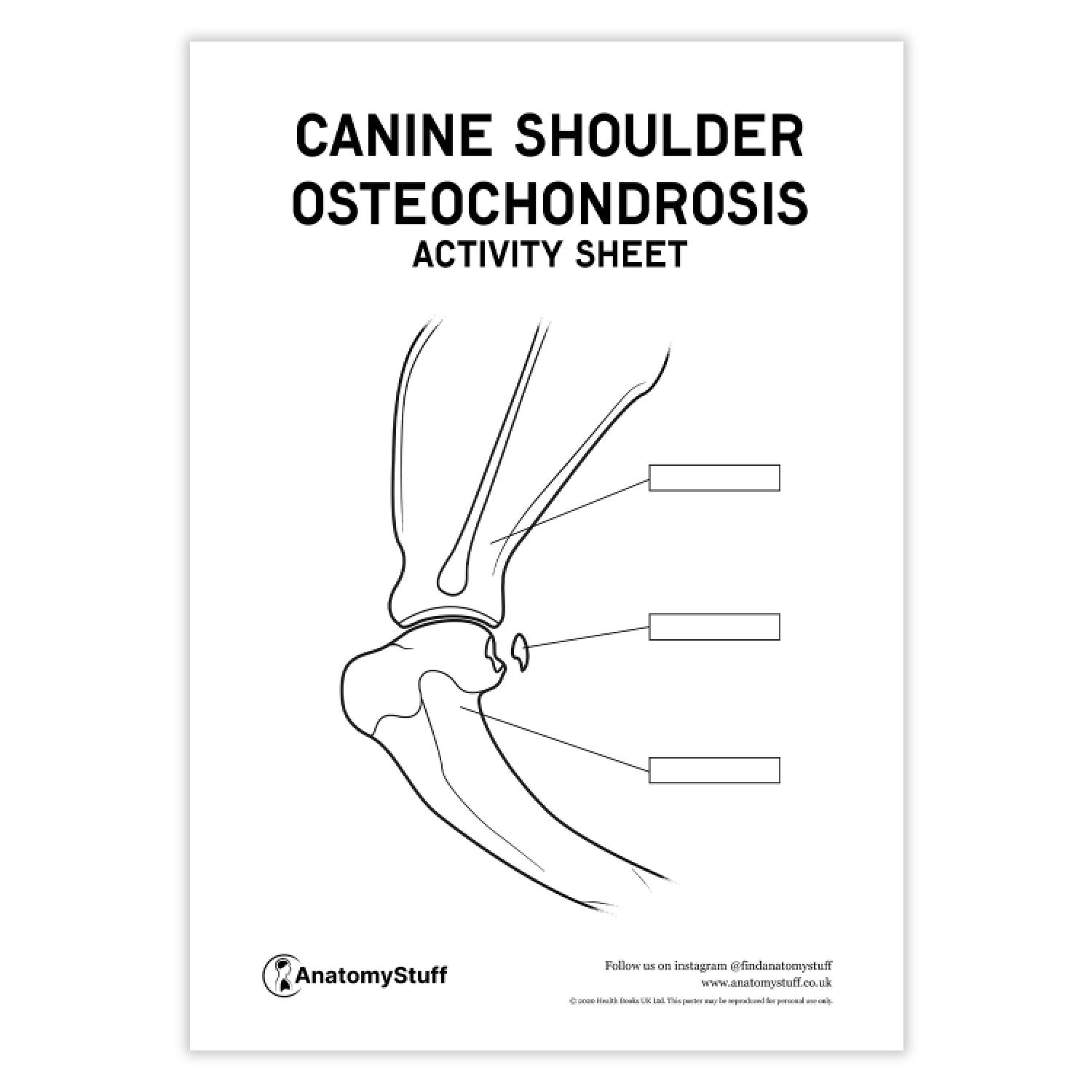Canine Osteochondrosis Activity Sheet PDF