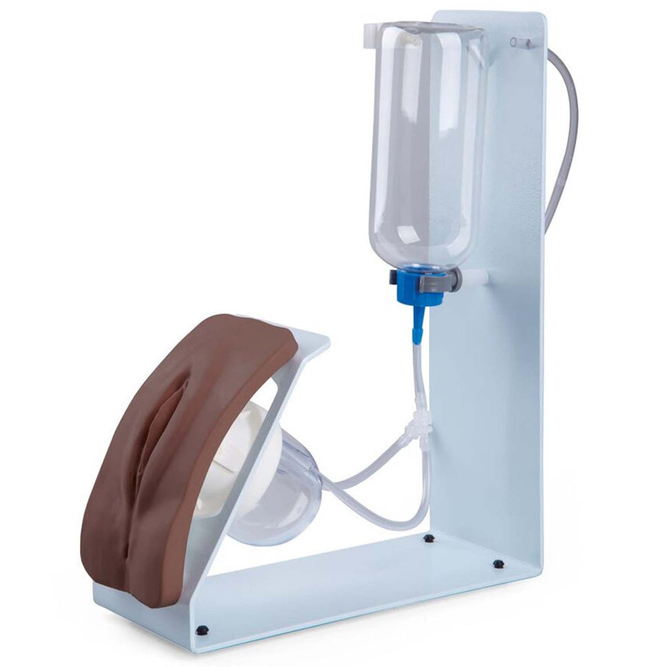 Catheterization Simulator BASIC (Female)
