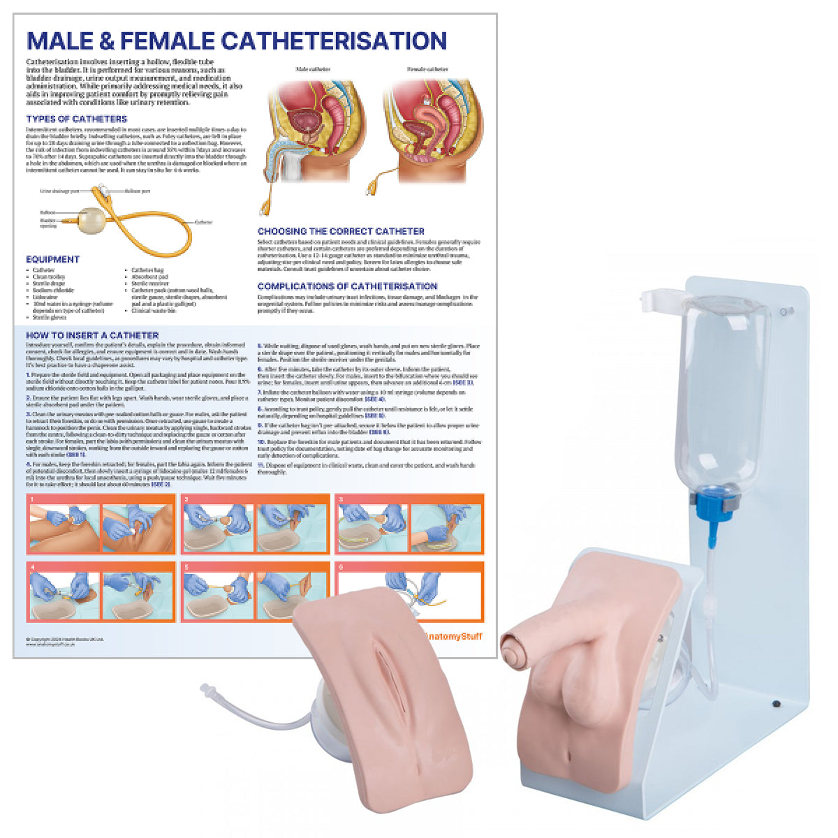 Catheterisation Training Collection
