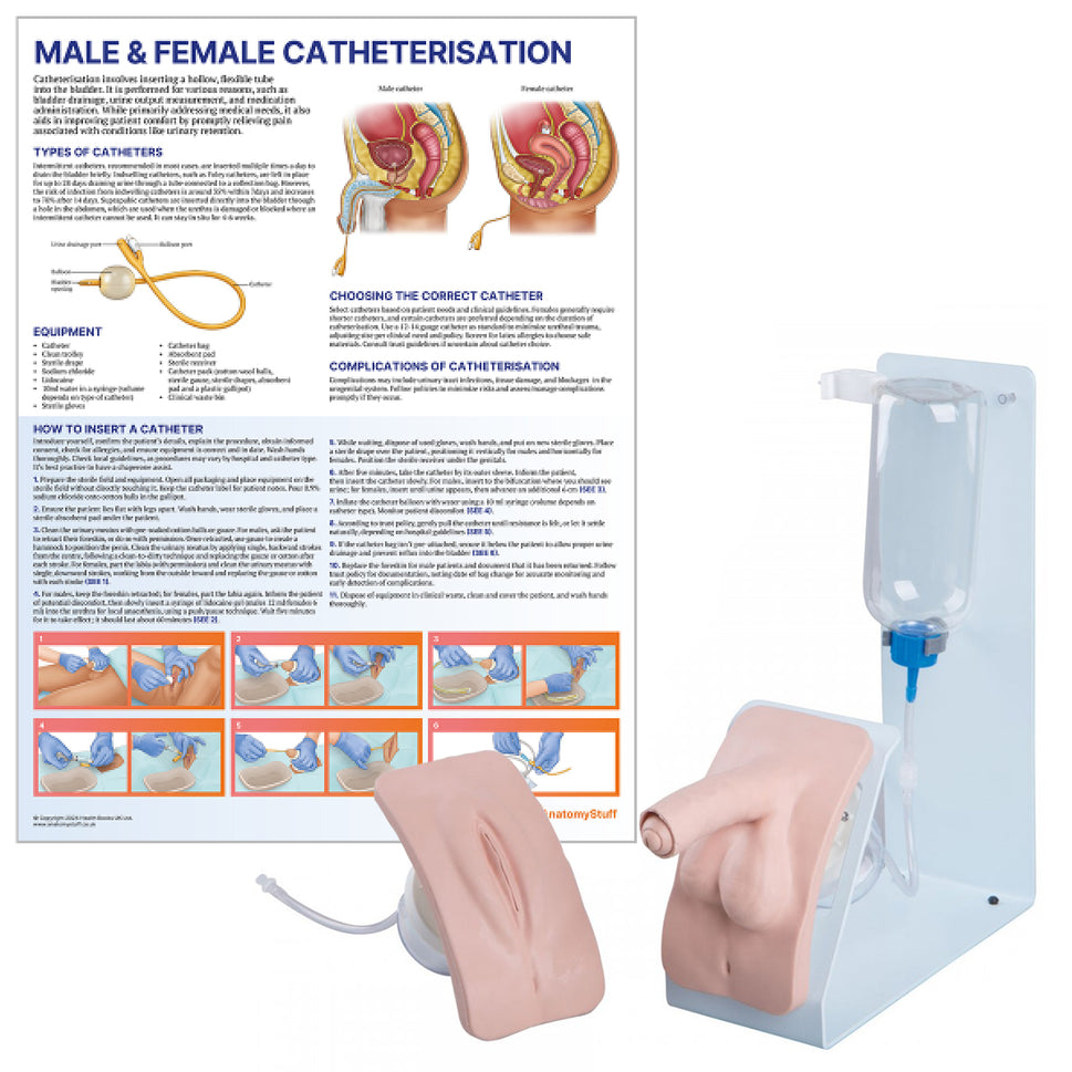 Catheterisation Training Collection