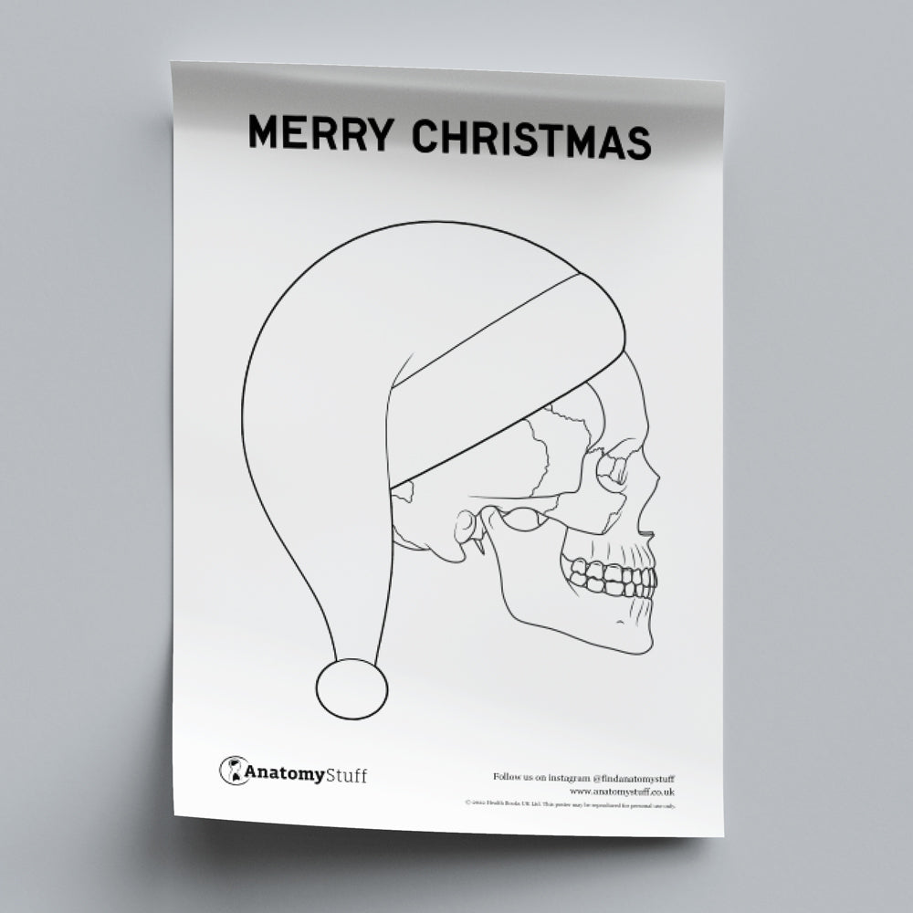 Christmas Skull Anatomy Poster (Printable PDF)