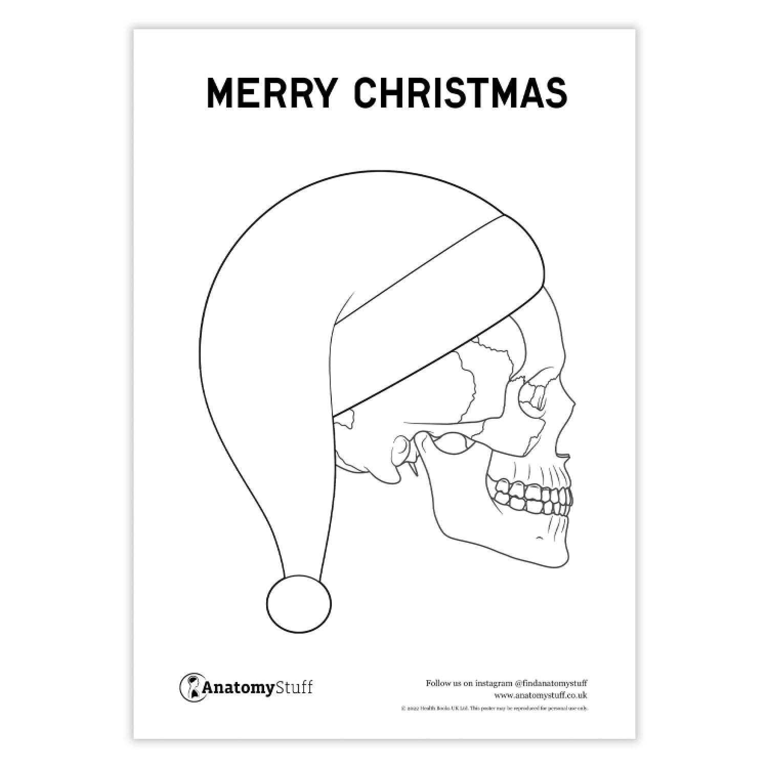 Christmas Skull Anatomy Poster (Printable PDF)