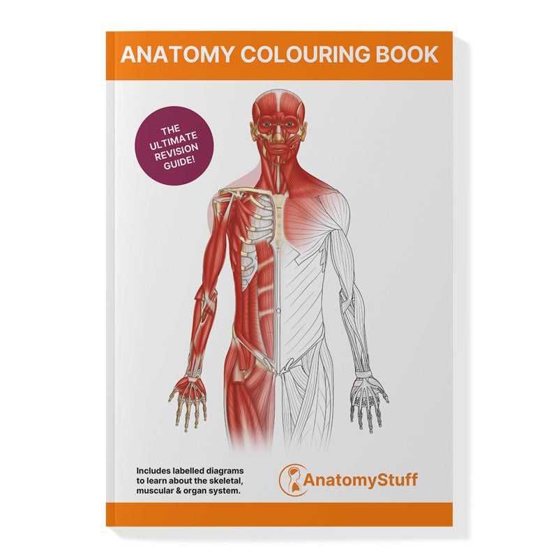 Medical Student Wellbeing and Self Care Bundle