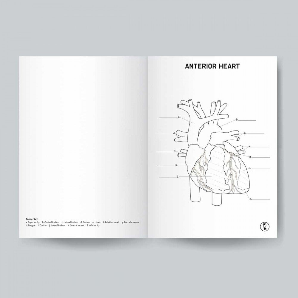 Anatomy Colouring Book