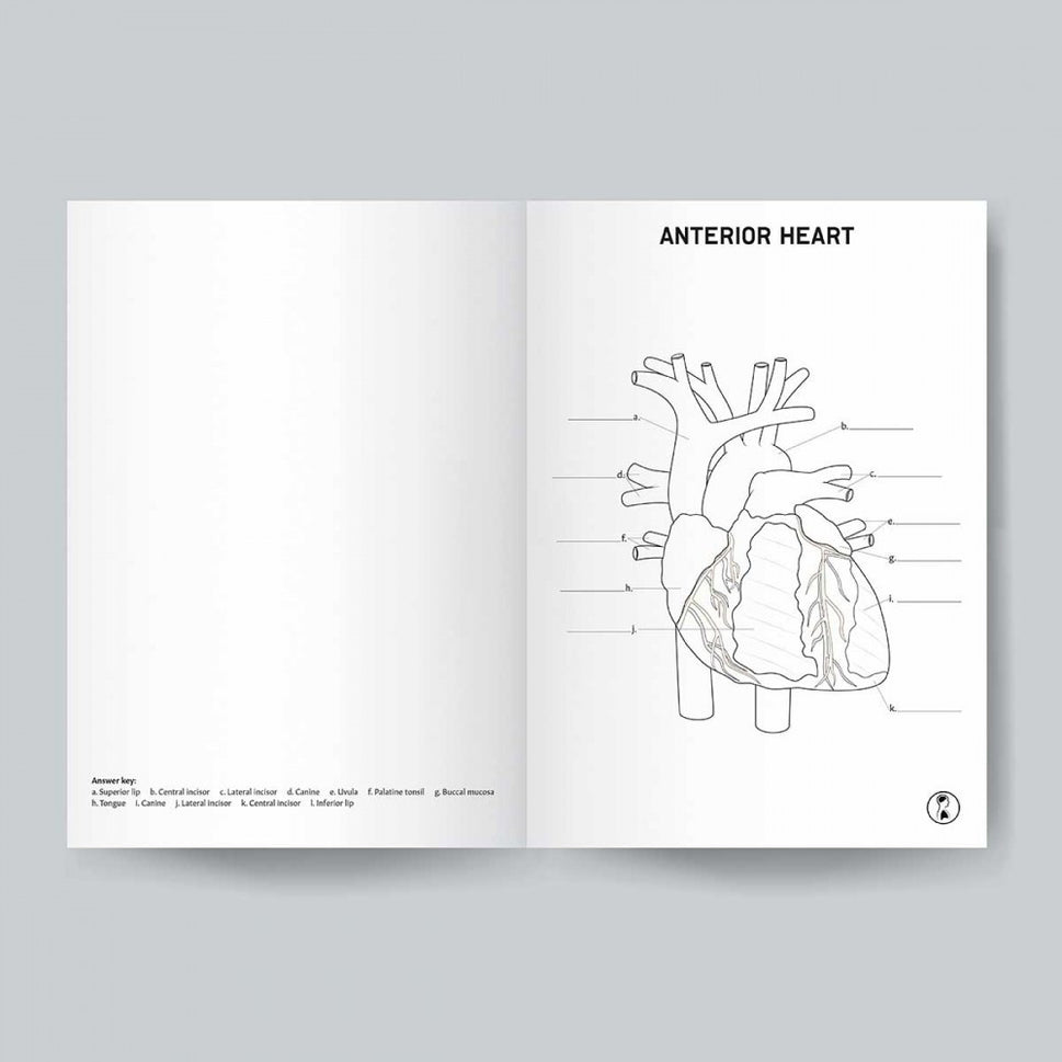 Anatomy Colouring Book