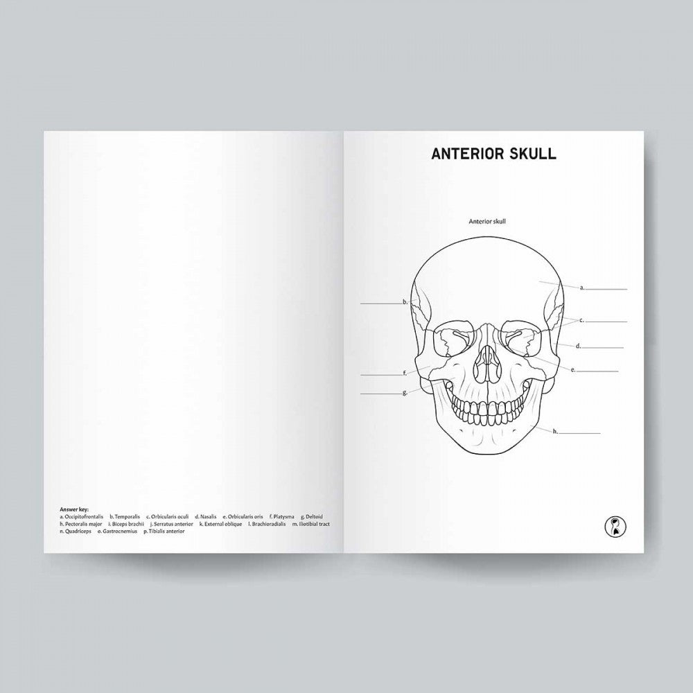 Anatomy Colouring Book