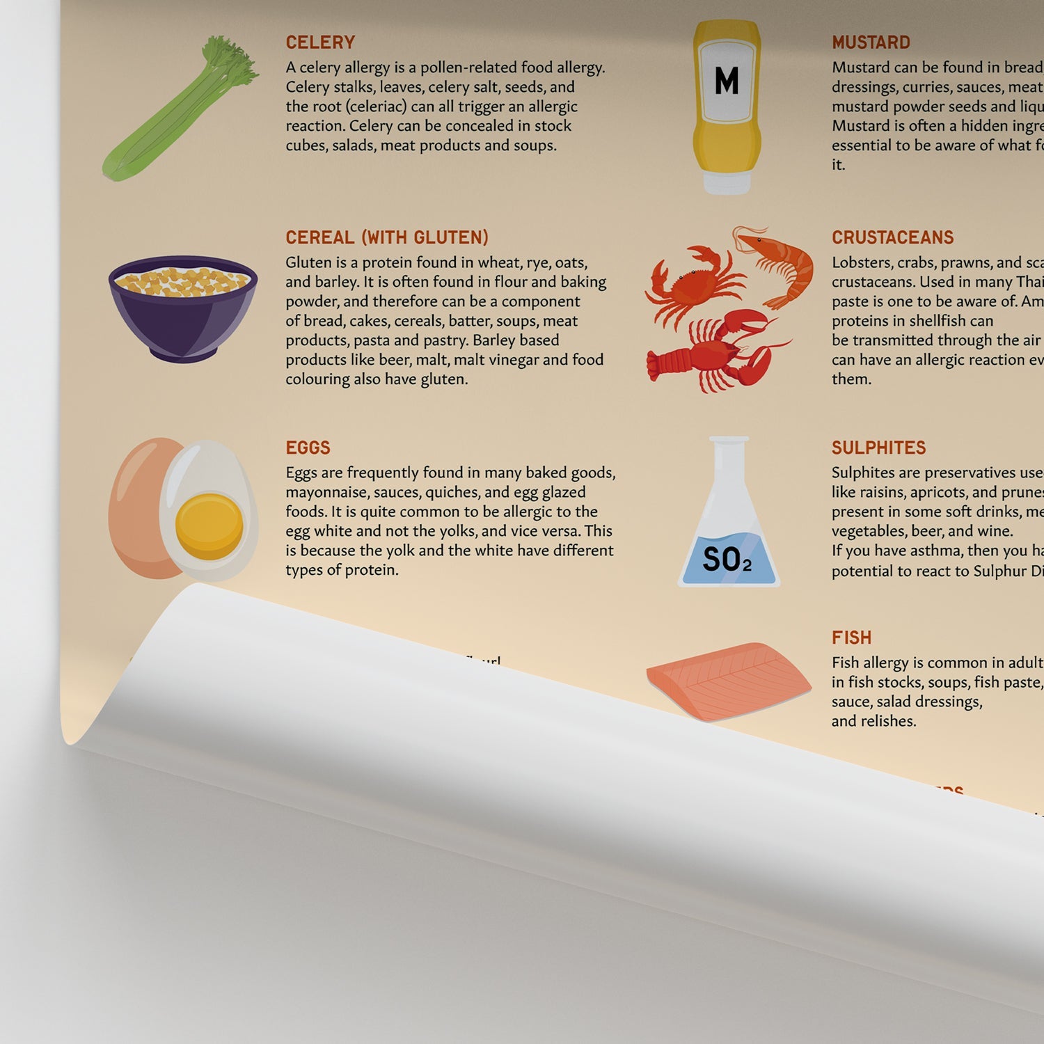 Common Food Allergens Chart / Poster - Part of Collection