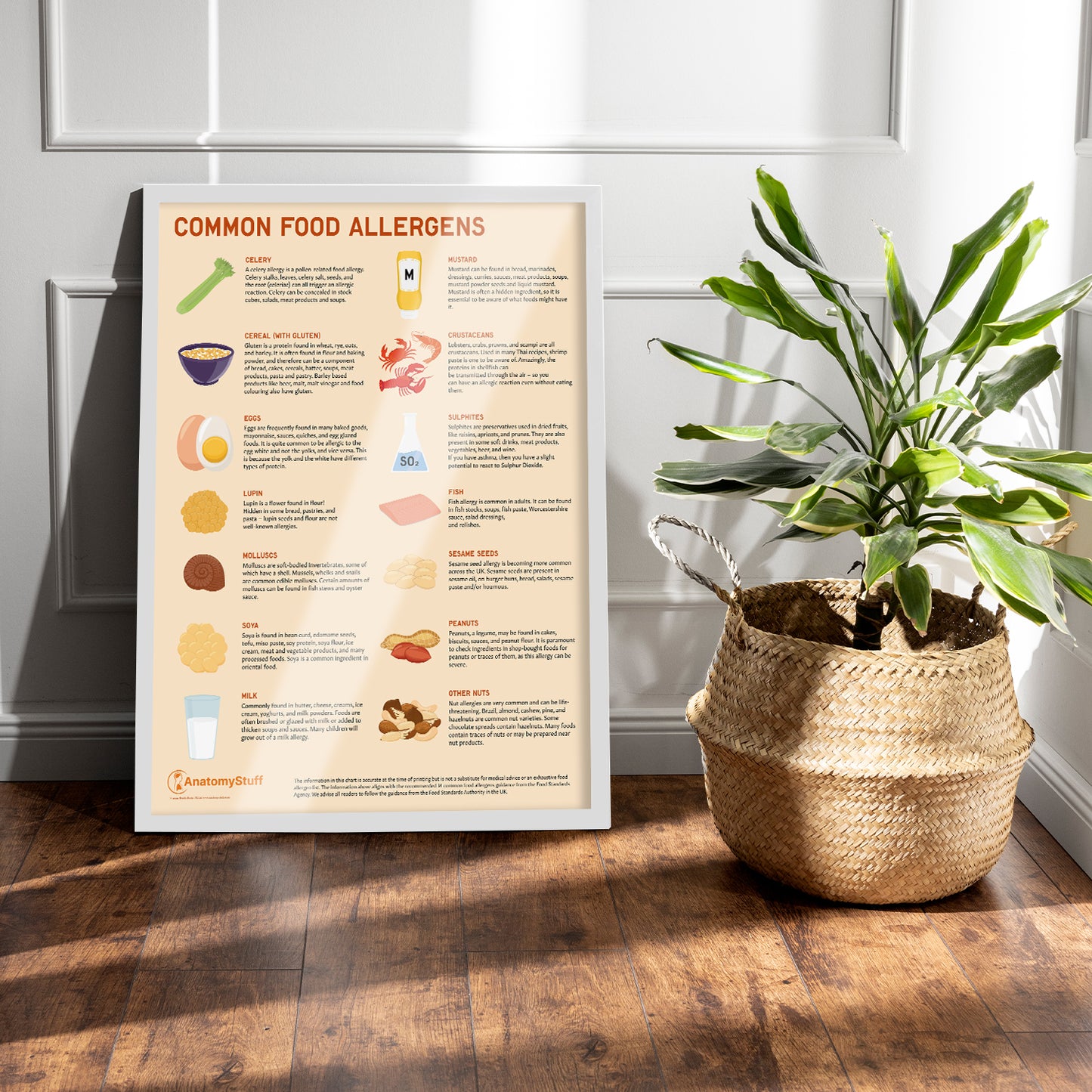 Common Food Allergens Chart / Poster