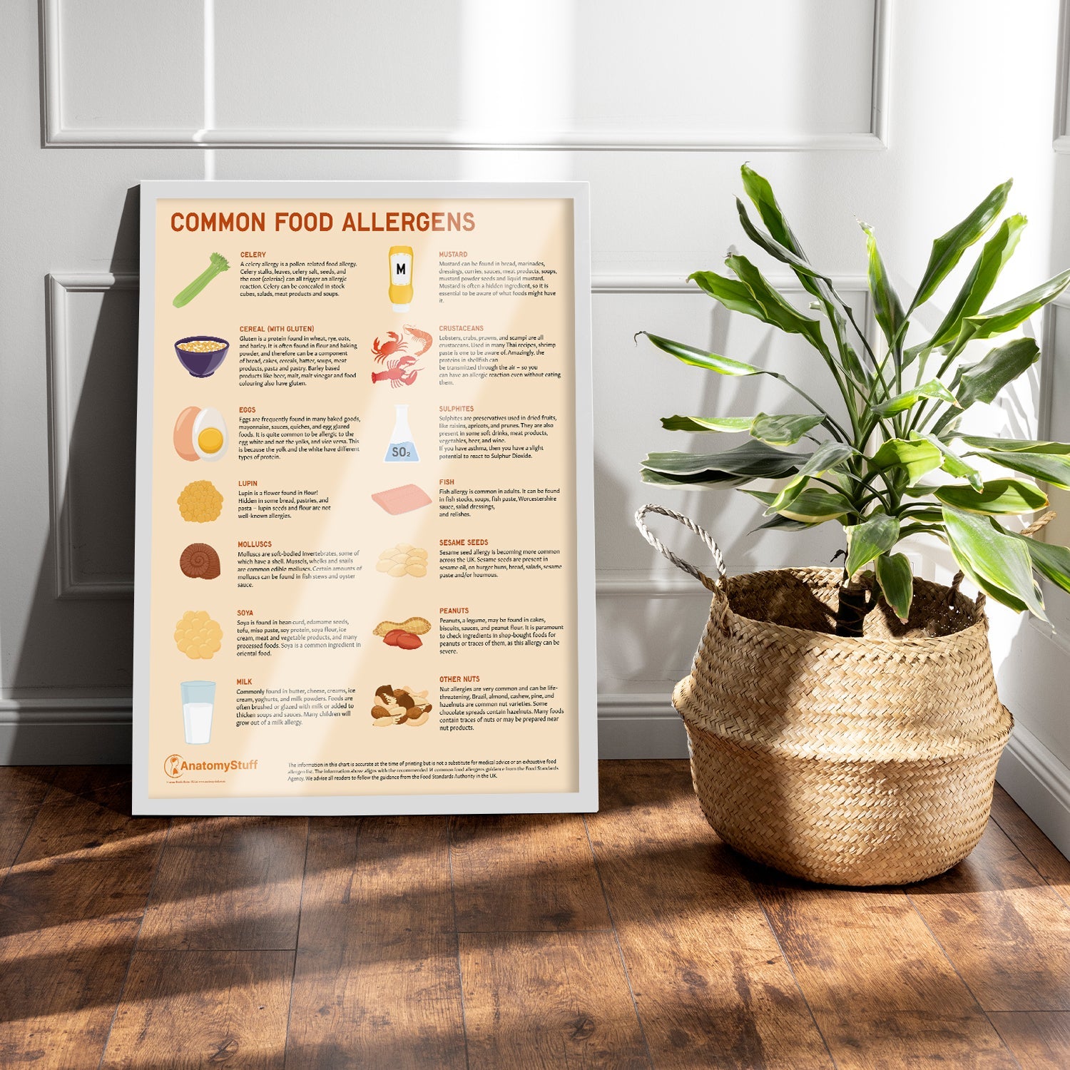 Common Food Allergens Chart / Poster - Part of Collection