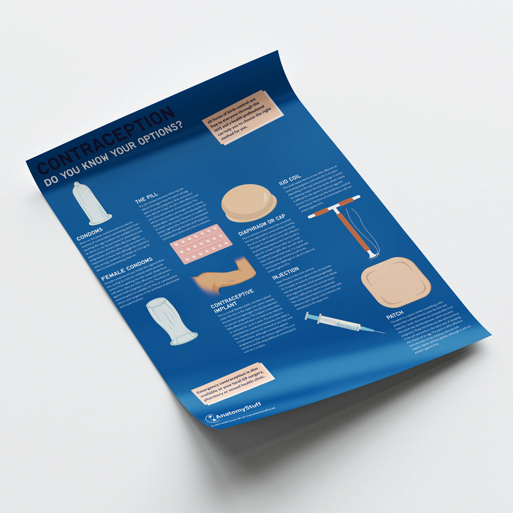 Contraception: Do you know your options? Chart / Poster