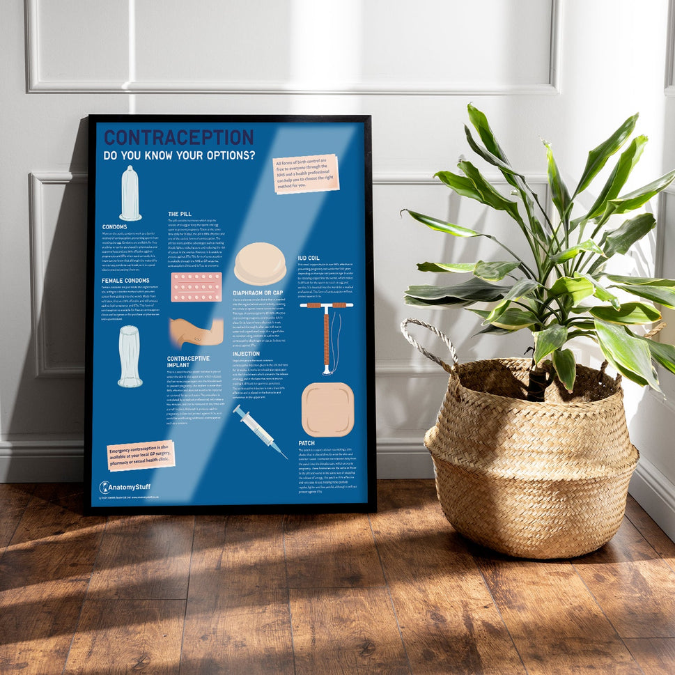Contraception: Do you know your options? Chart / Poster