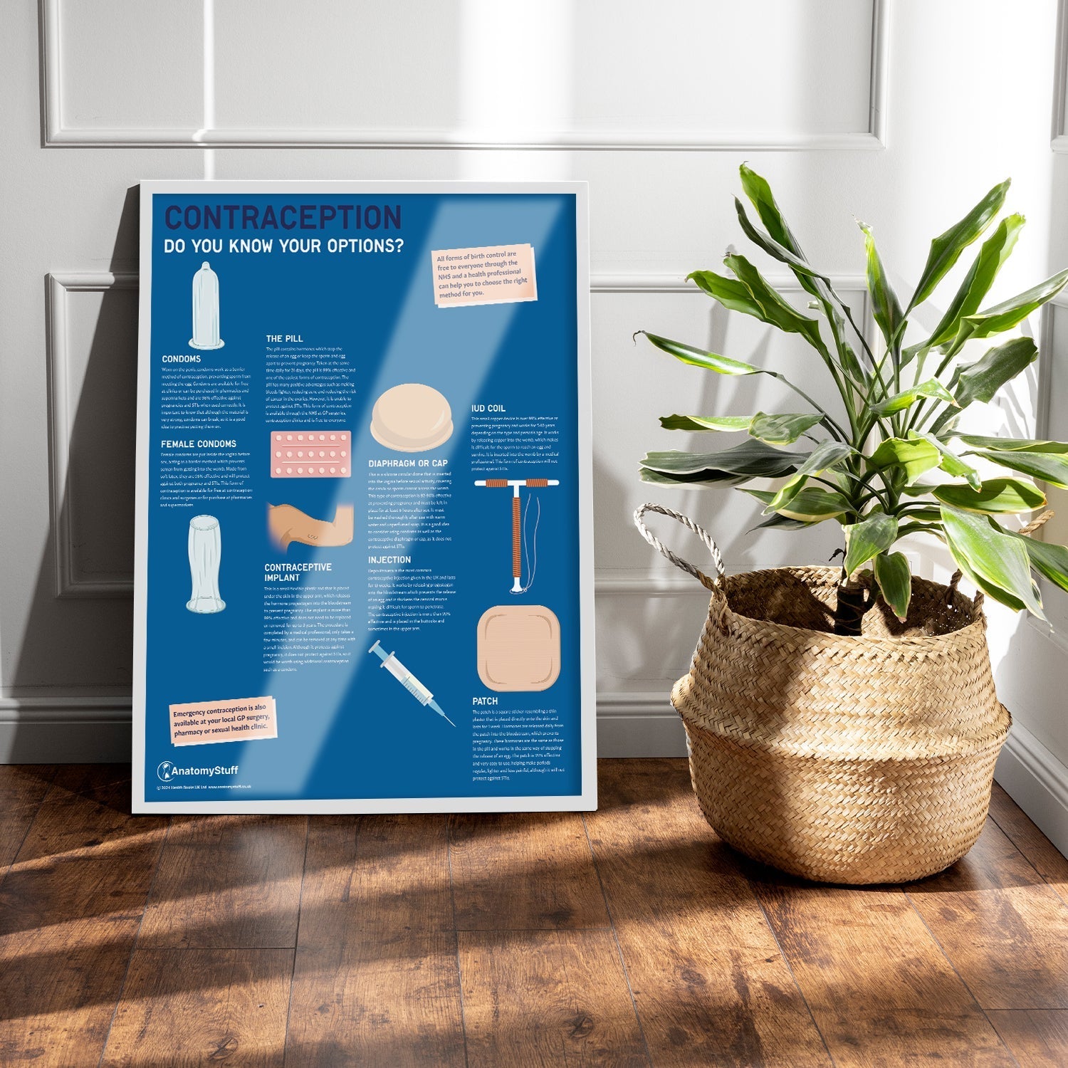 Contraception: Do you know your options? Chart / Poster - Part of Collection