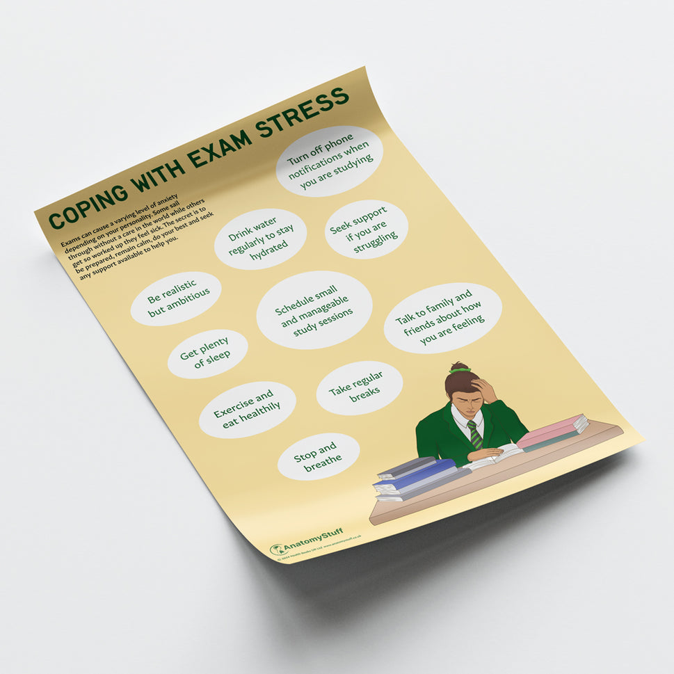 Coping with Exam Stress Chart / Poster