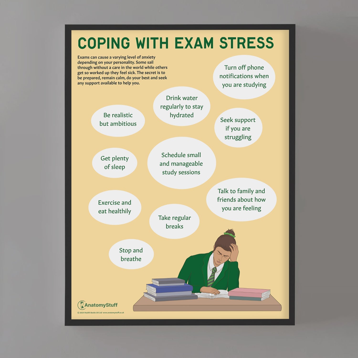 Coping with Exam Stress Chart / Poster - Part of Collection