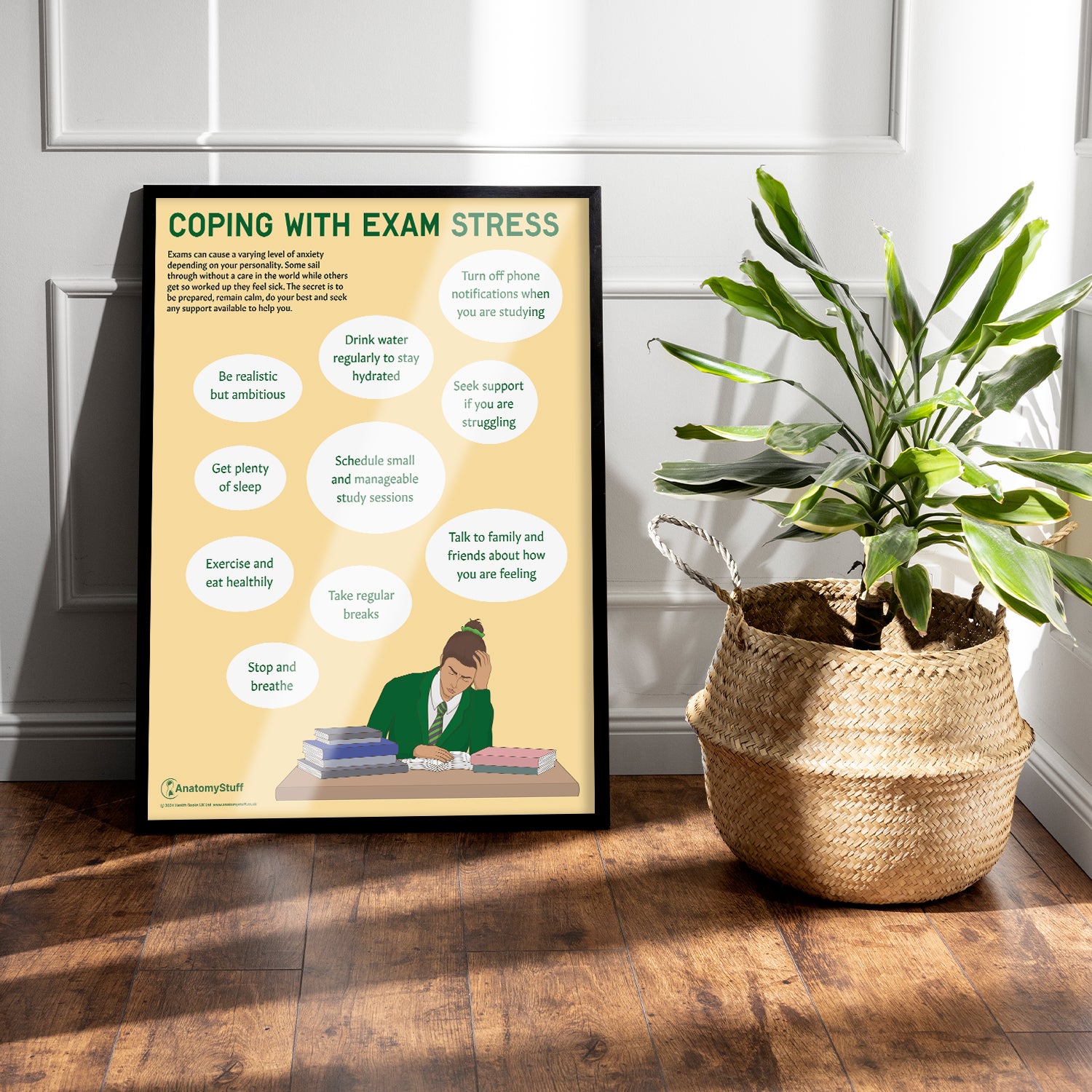 Coping with Exam Stress Chart / Poster