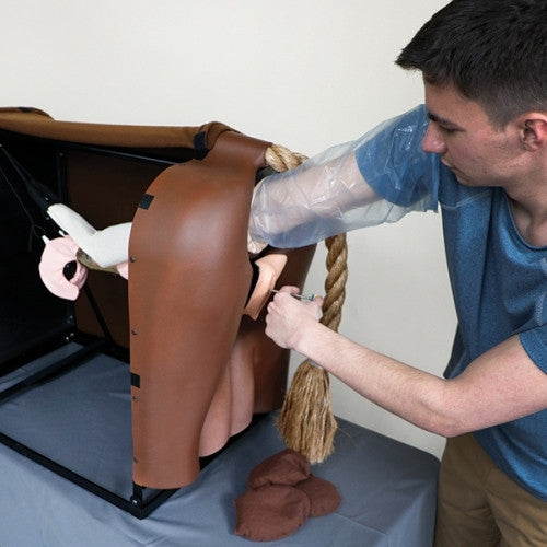 Bovine Breeder Artificial Insemination Simulator
