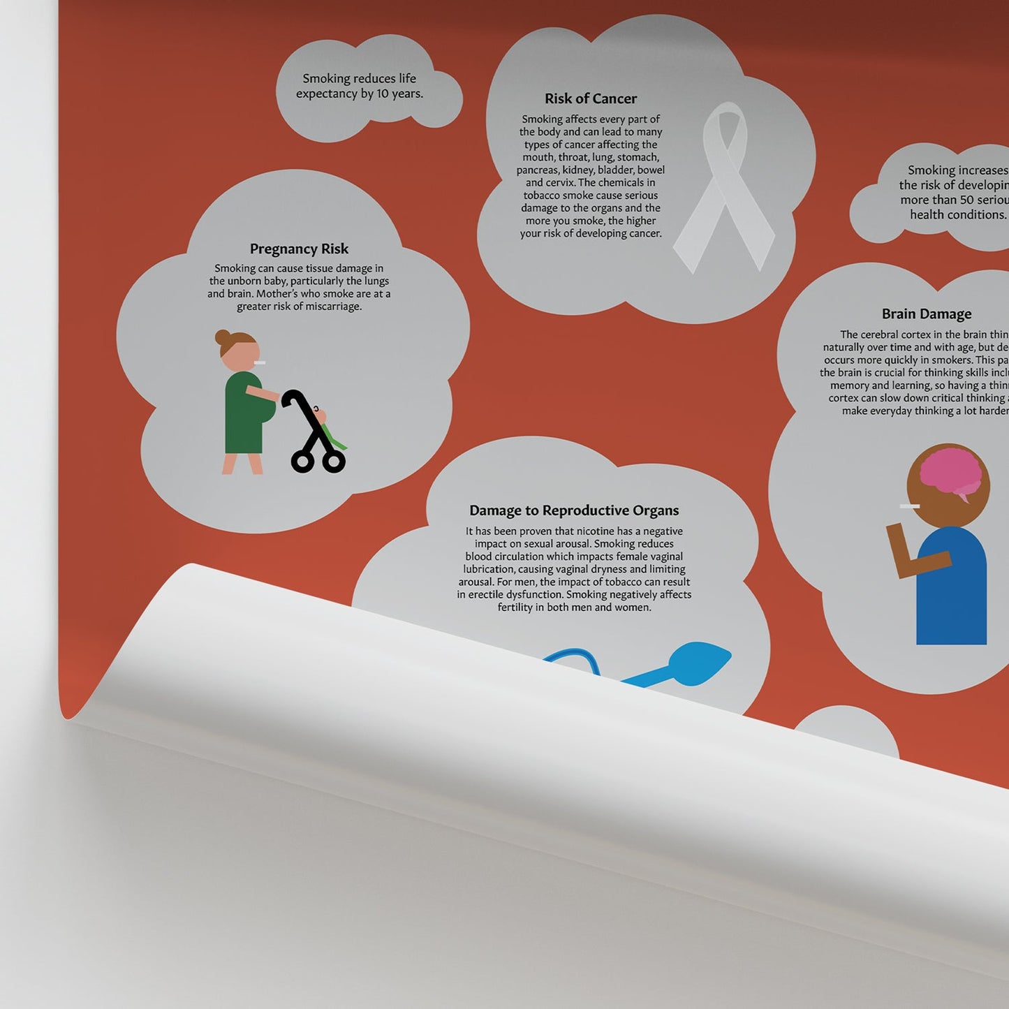 Dangers of Smoking Chart / Poster