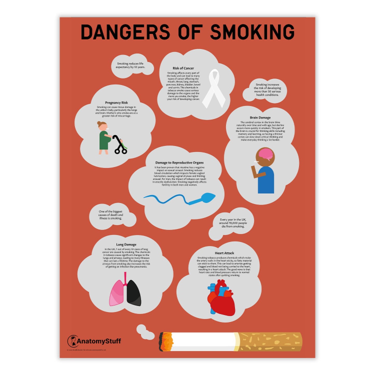 Dangers of Smoking Chart / Poster
