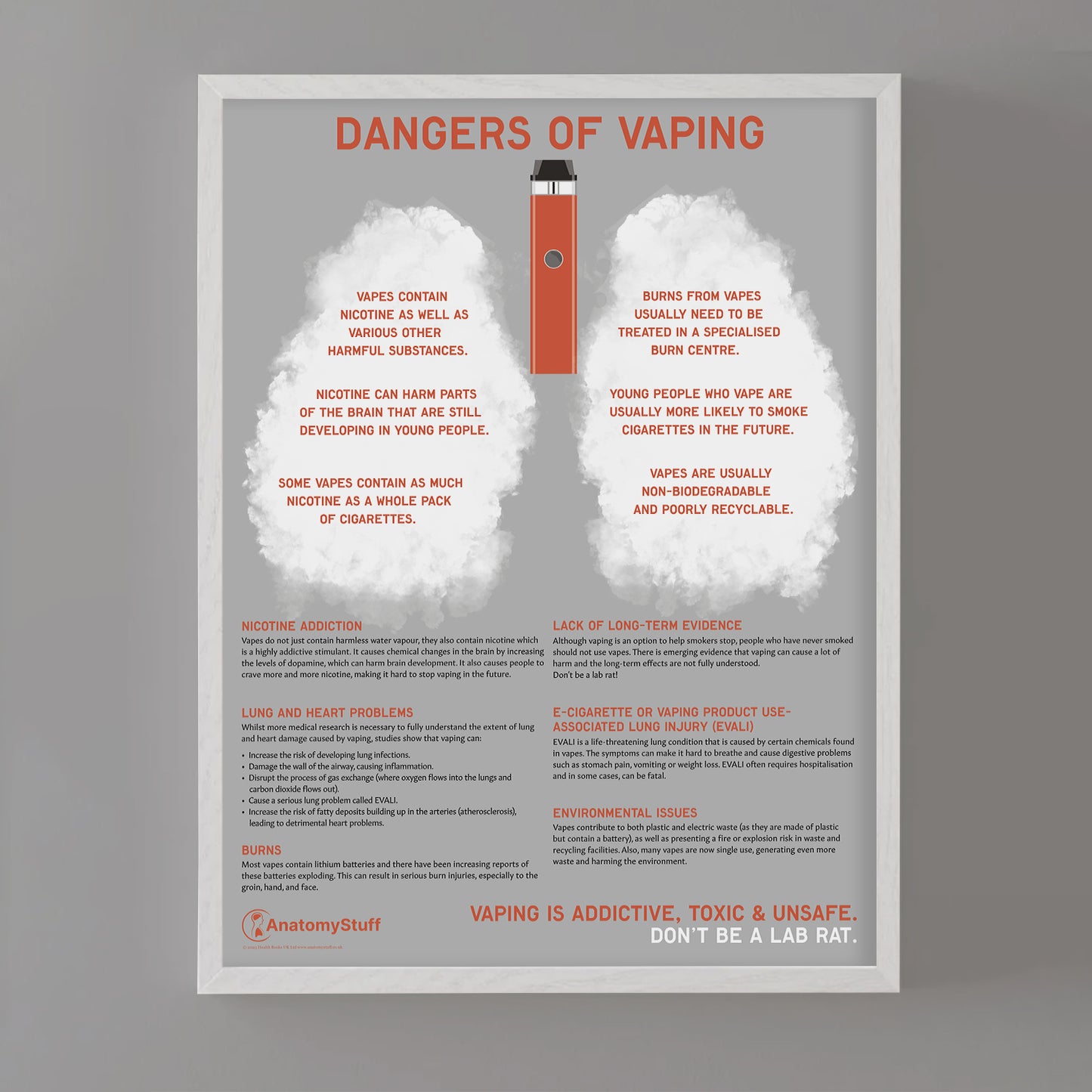 Dangers of Vaping Chart / Poster