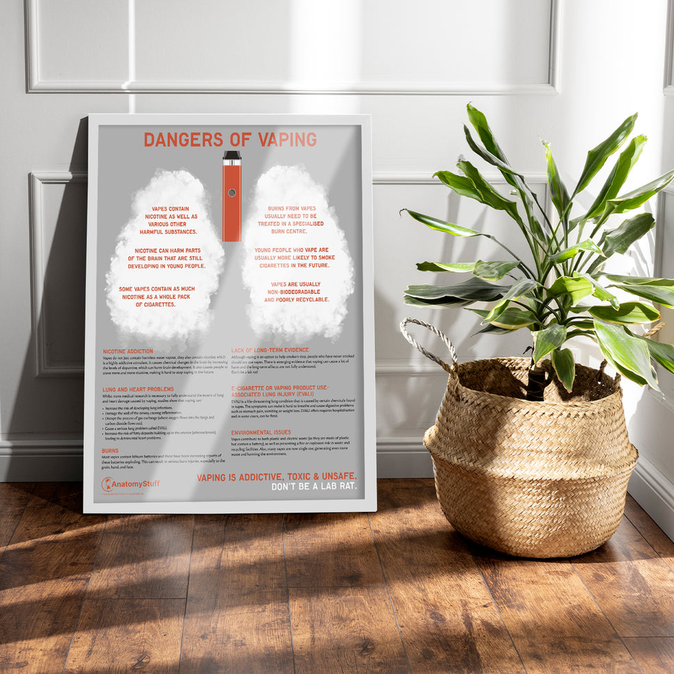 Dangers of Vaping Chart / Poster