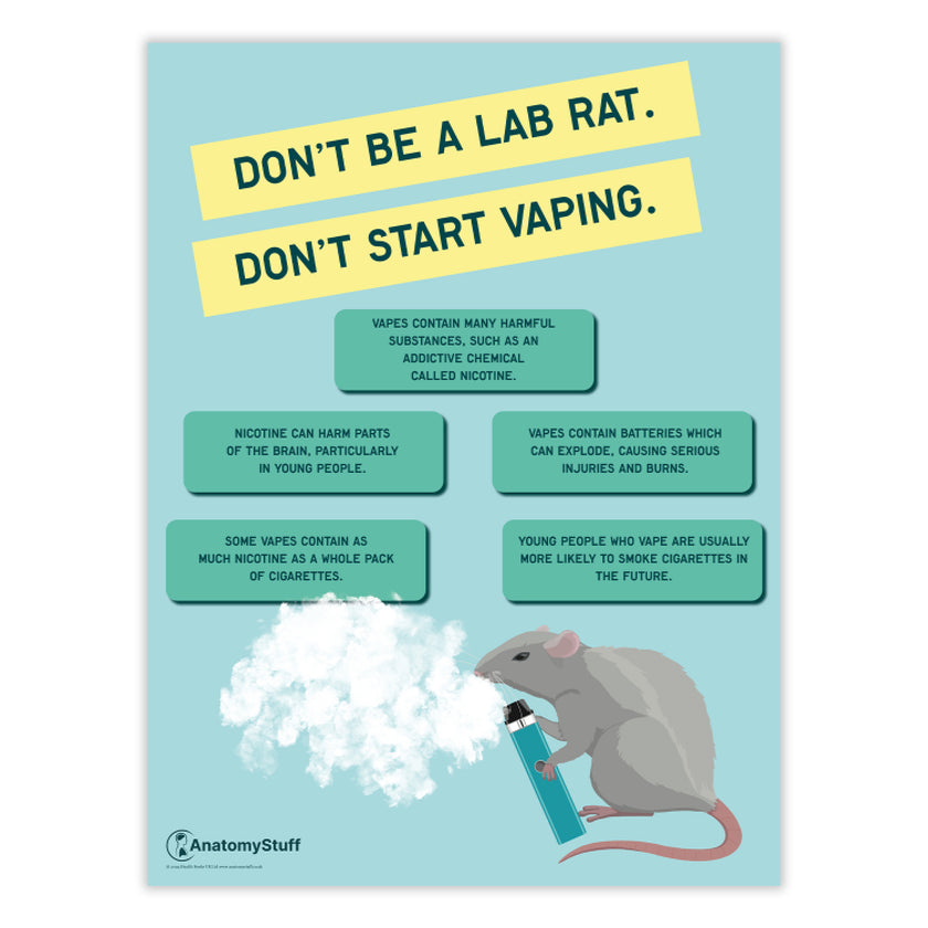 "Don't be a lab rat" Vaping Chart / Poster