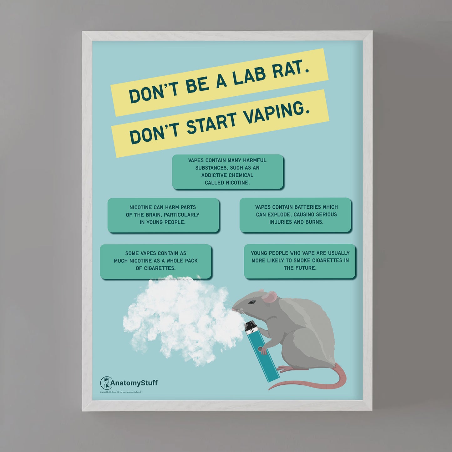 "Don't be a lab rat" Vaping Chart / Poster