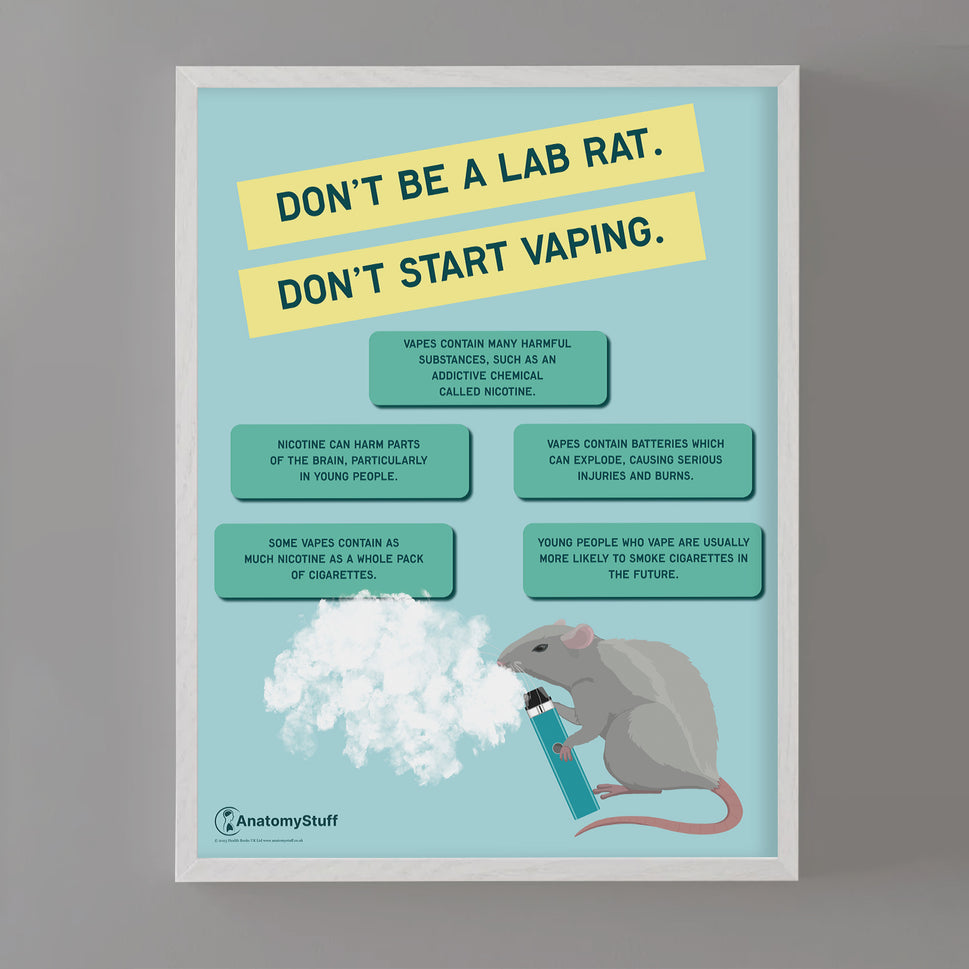 "Don't be a lab rat" Vaping Chart / Poster