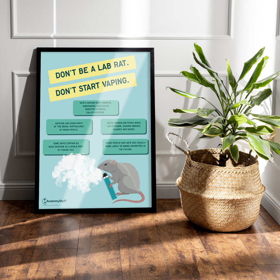 "Don't be a lab rat" Vaping Chart / Poster