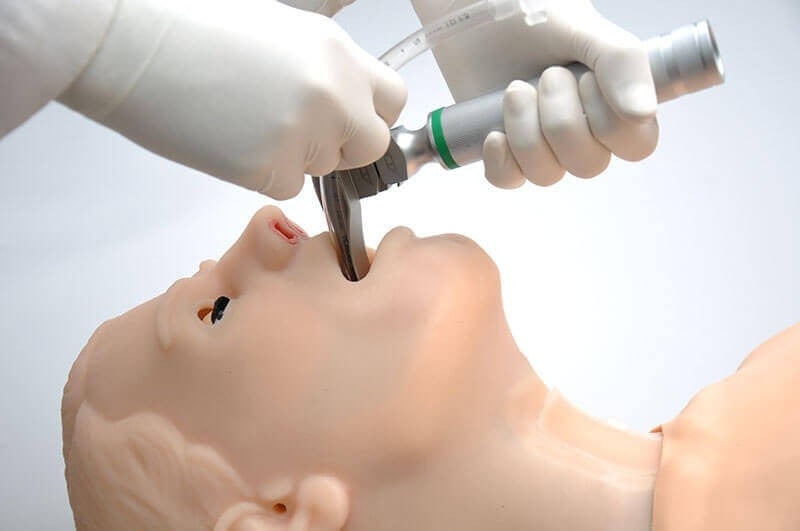 HAL Advanced Adult Multipurpose Airway and CPR Trainer