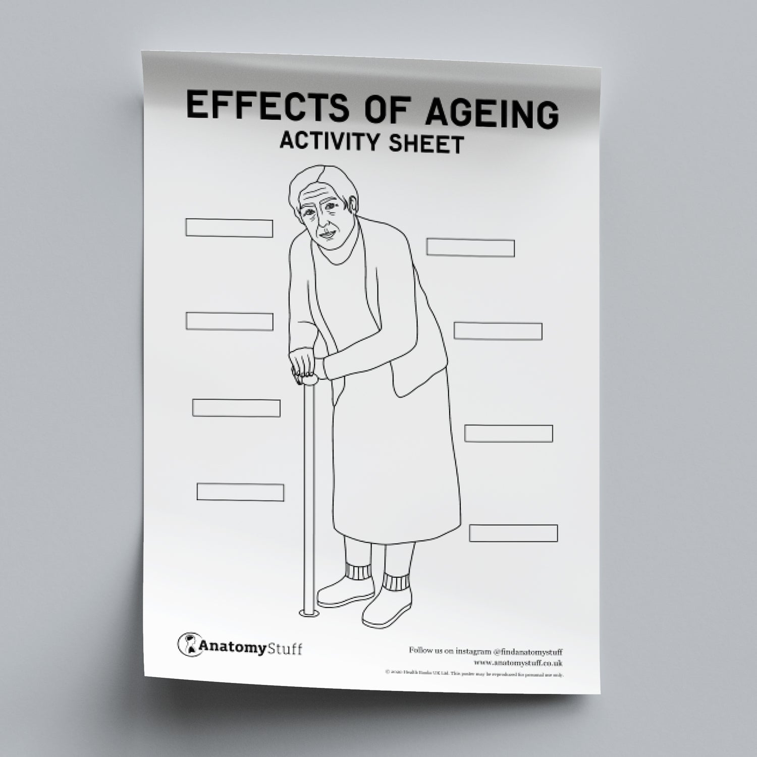 Effects of Ageing Activity Sheet PDF