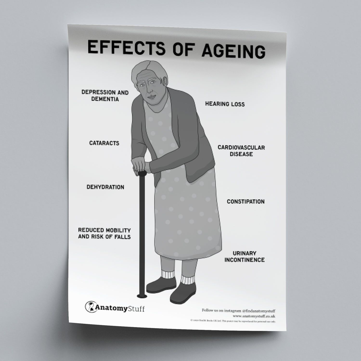 Effects of Ageing Poster PDF