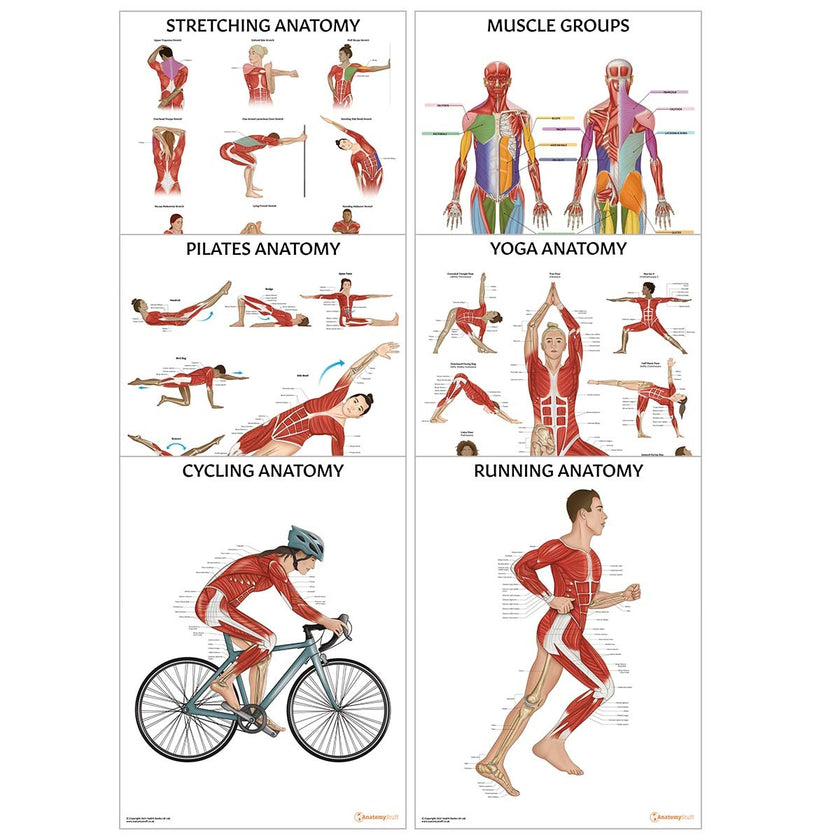 Exercise Collection 6 Poster