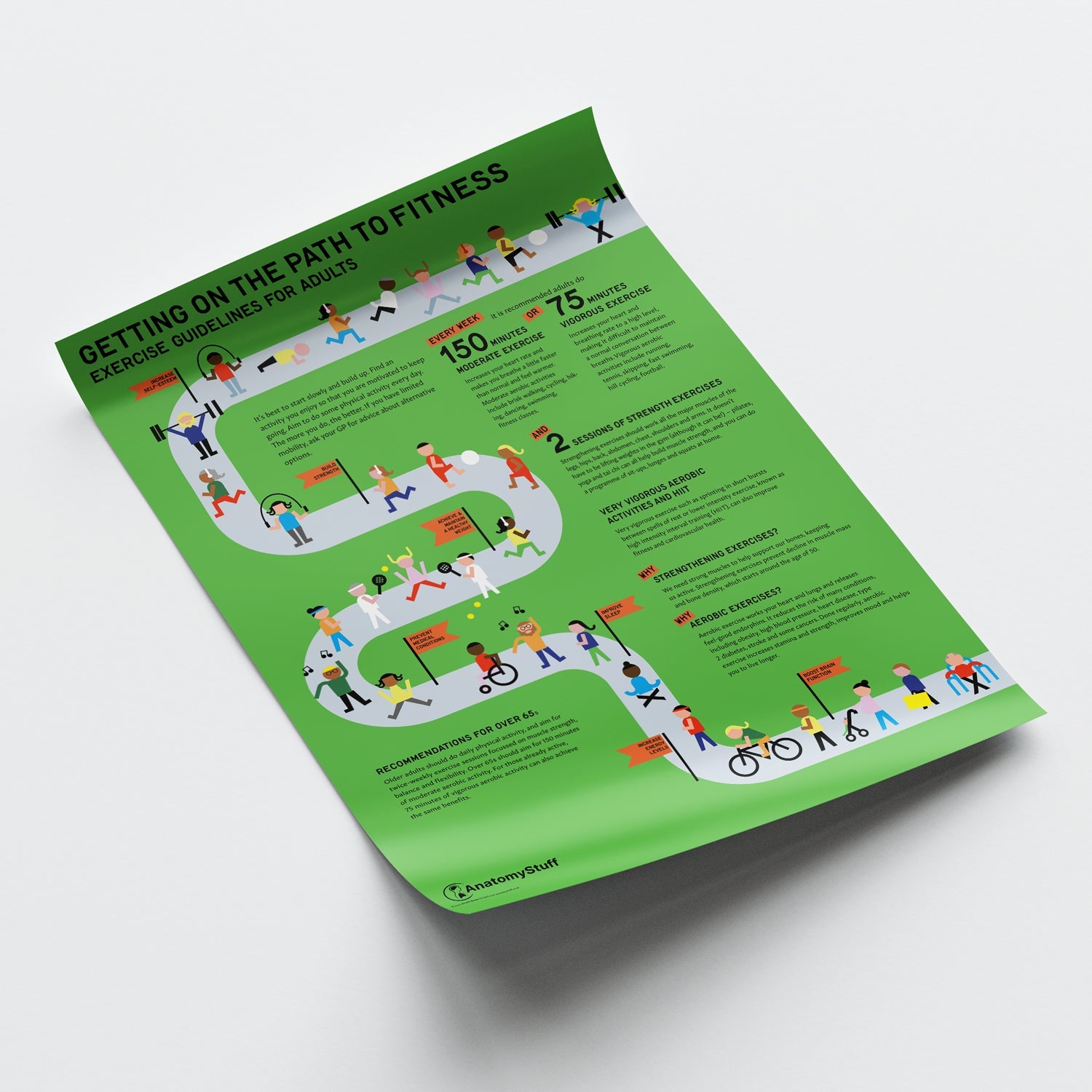 Exercise Guidelines for Adults Chart / Poster