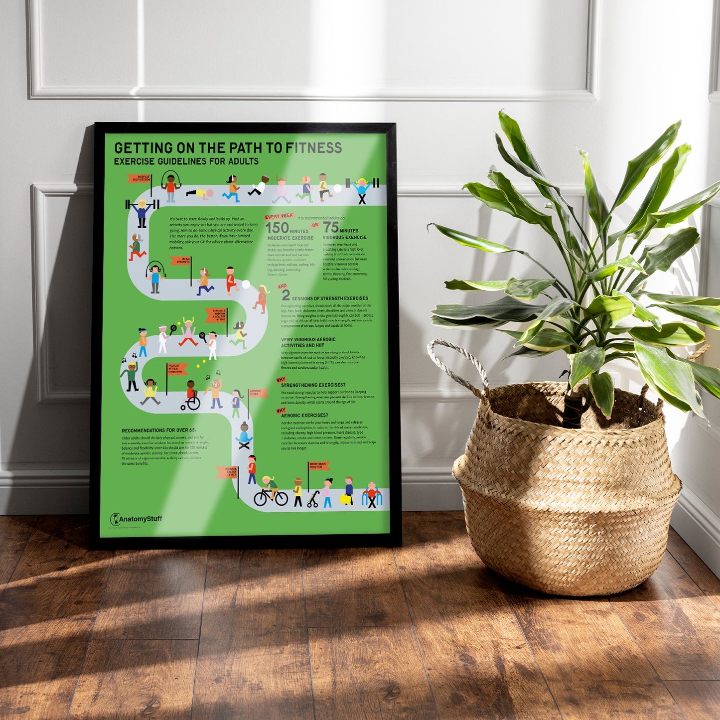 Exercise Guidelines for Adults Chart / Poster