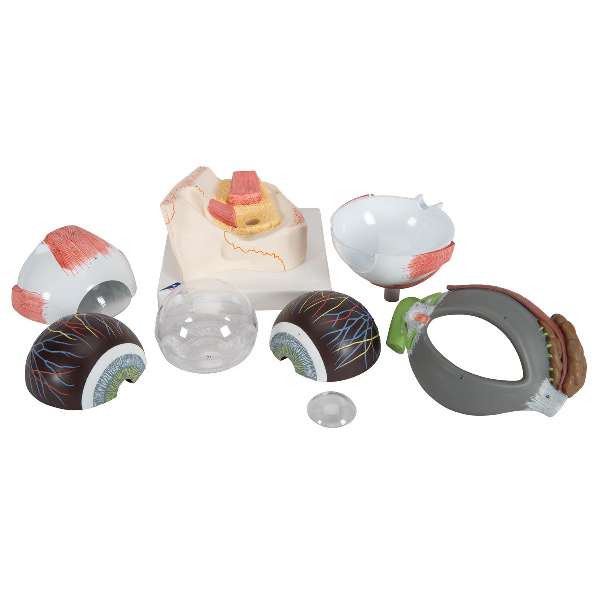 All of the model parts 1000257