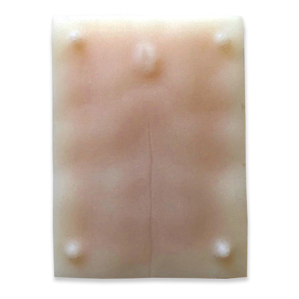 Feline Ovariohysterectomy (Spay) Model